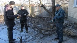 Алексеевские полицейские провели акцию «День добрых дел»