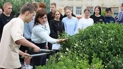 Вячеслав Гладков проинформировал о трудоустройстве 850 детей в рамках регионального проекта 