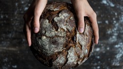 Хлеб из тритикале появится на полках пекарен Белгородской области