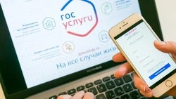 Белгородские предприниматели могут зарегистрировать кассу и товарный знак на Госуслугах