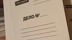 Жительница Алексеевки причинила вред здоровья престарелой соседке в ходе ссоры