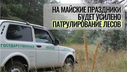 Охрану лесных массивов усилили в Белгородской области на период мая 2026 года