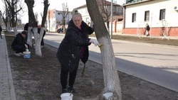 Добровольное служение Белгородской области стартовало в Алексеевском округе с 16 марта