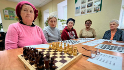 Алексеевские волонтеры устроили мастер-класс по шахматам для пенсионеров 