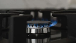 Садоводы Белгородской области смогут бесплатно воспользоваться программой социальной догазификации