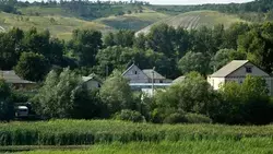 Вячеслав Гладков сообщил о необходимости проведения экологических дней в регионе