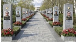 Красненцы всё еще могут отдать свой голос за благоустройство общественных пространств муниципалитета