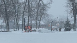 Вячеслав Гладков – о необходимости увеличить число коммунальной техники в снегопад 