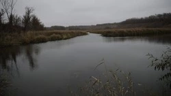 Ограничения любительской рыбной ловли начнут действовать для алексеевцев и красненцев с 1 апреля