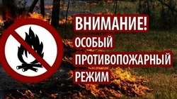 Особый противопожарный режим продлили в Белгородской области