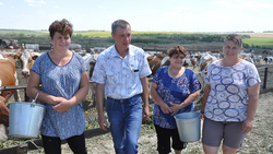 Животноводы Алексеевского горокруга получили около 4 тонн молока с коровы за 2020 год