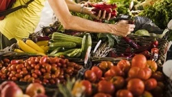 Специалист-эксперт Роспотребнадзора посоветовал алексеевцам кушать натуральные витамины