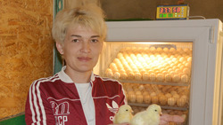 Многодетная мама из Красненского района расширила мини-ферму за счёт соцконтракта