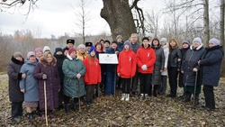 Красненский дуб стал серебряным финалистом национального конкурса «Российское дерево года - 2024»