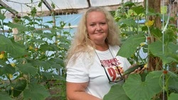 Огурцы — до ноября. Как жительница Красненского района оформила соцконтракт 