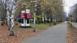 Администрация Алексеевского округа пригласила алексеевцев принять участие в голосовании