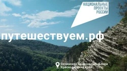 Алексеевцы и красненцы могут оформить единый билет для путешествия