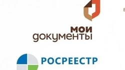 Алексеевцы смогут получить бесплатную консультацию от Росреестра на базе МФЦ