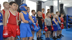 Алексеевцы открыли зал бокса «Айсберг»