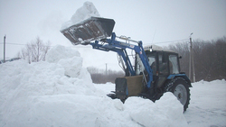 Сотрудники Красненского лесничества начали готовить снежники