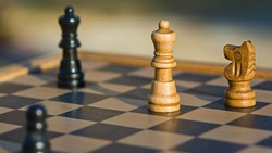 Молодёжный культурный центр НИУ «БелГУ» собрал шахматистов на Чемпионате области