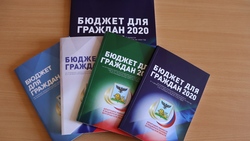 Разъясняющий бюджетный проект региона попал в тройку лидеров по итогам 2019 года