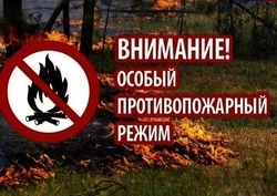 Особый противопожарный режим продлён на территории Белгородской области