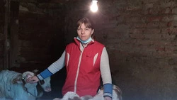 Красненская семья сумела улучшить свое финансовое положение за счёт соцконтракта