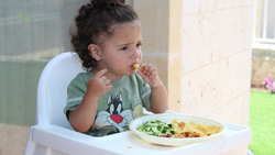 Правительство области утвердило ежемесячную компенсацию на покупку детского питания