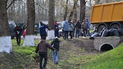 Алексеевцы продолжили благоустройство улиц города и сёл