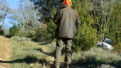 Работа охотничьих клубов начнётся в регионе в августе