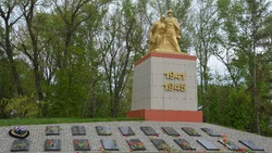 Пришли свои. Как алексеевцы и красненцы встретили советских освободителей в январе 1943 года