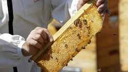 Минсельхоз напомнил условия получения гранта в конкурсе «Агростартап»