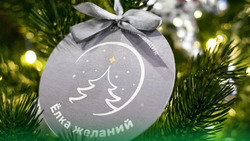 Дети участников СВО смогут принять участие в Новогодней акции «Ёлка желаний»