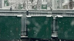 Белгородский оператор экологической безопасности проинформировал население о работе в праздники