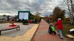 Строительство кинотеатра под открытым небом завершилось в Глуховке Алексеевского округа