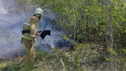 Управление МЧС по Белгородской области ликвидировало 52 ландшафтных пожара с начала мая 