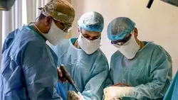 Вячеслав Гладков сообщил о проведении 2,5 тыс. операций по эндопротезированию суставов в 2025 году