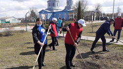 Красненские волонтёры провели экологическую акцию в Горках