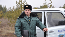Сотрудники Алексеевского лесничества вступили на охрану ёлочных насаждений