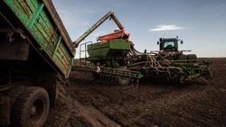 Белгородские полеводы засеют 310 тысяч гектаров соей в 2025 году