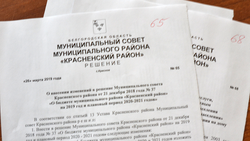 Решение Муниципального совета Красненского района от 26.03.2019 г. №65