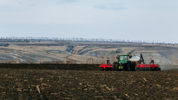 Белгородские полеводы засеяли планируемые 95% площадей яровой пшеницей