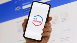 Бесплатная юридическая помощь стала доступна белгородцам на портале Госуслуги